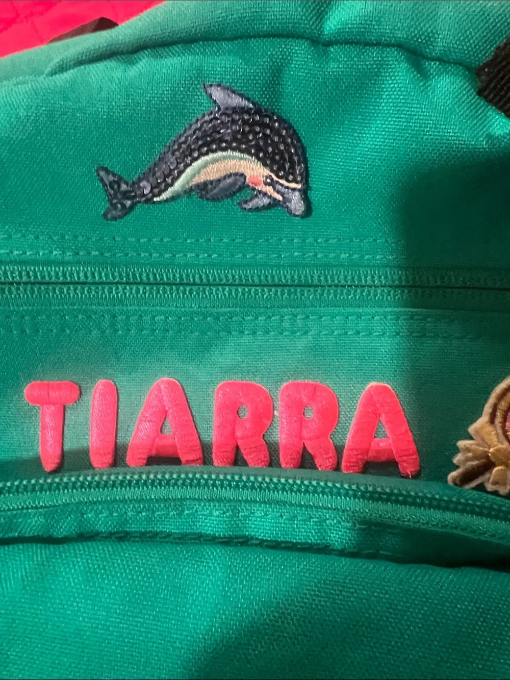 Jansport Teal Backpack with Fun Patches